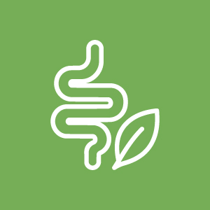 Detox, Digestión y Circulación